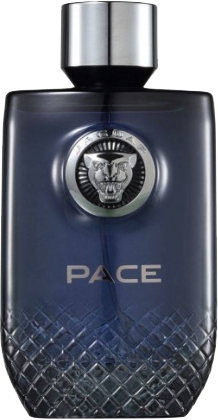  Jaguar - Pace 