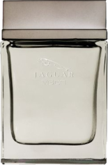 عطر ادکلن مردانه جگوار ویژن Vision Jaguar for men | تهران ادکلن 