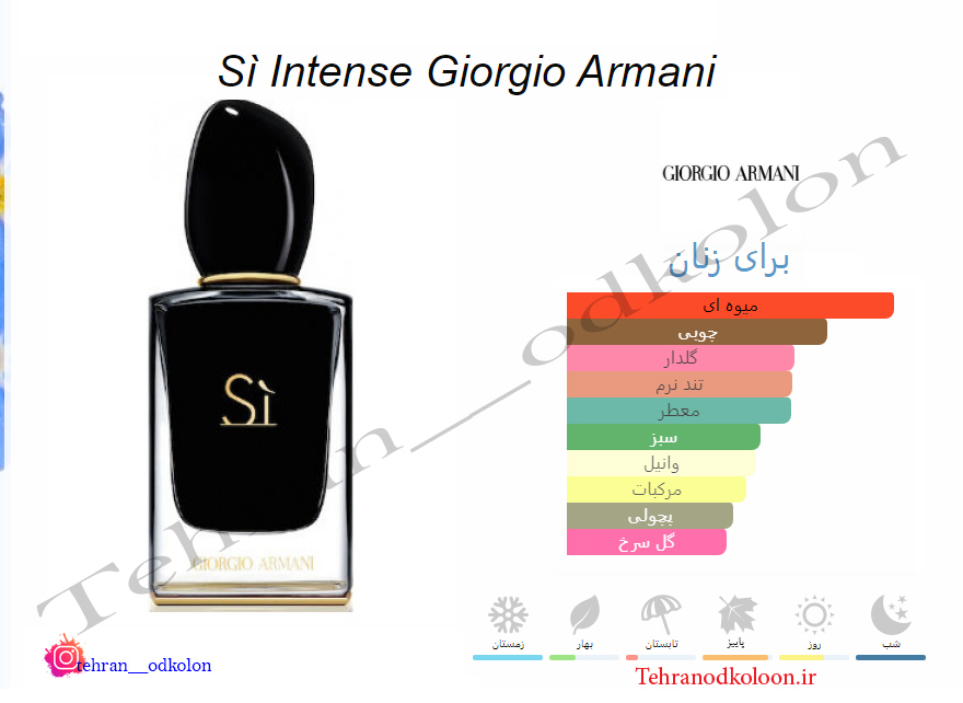  Giorgio Armani Si Intense 