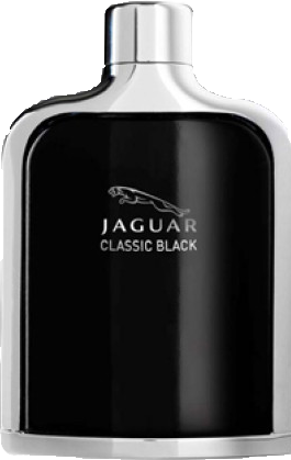  jaguar classic black 