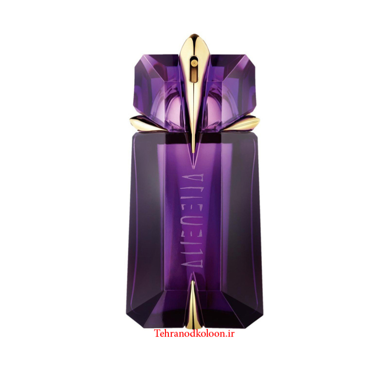 angel perfume price dischem