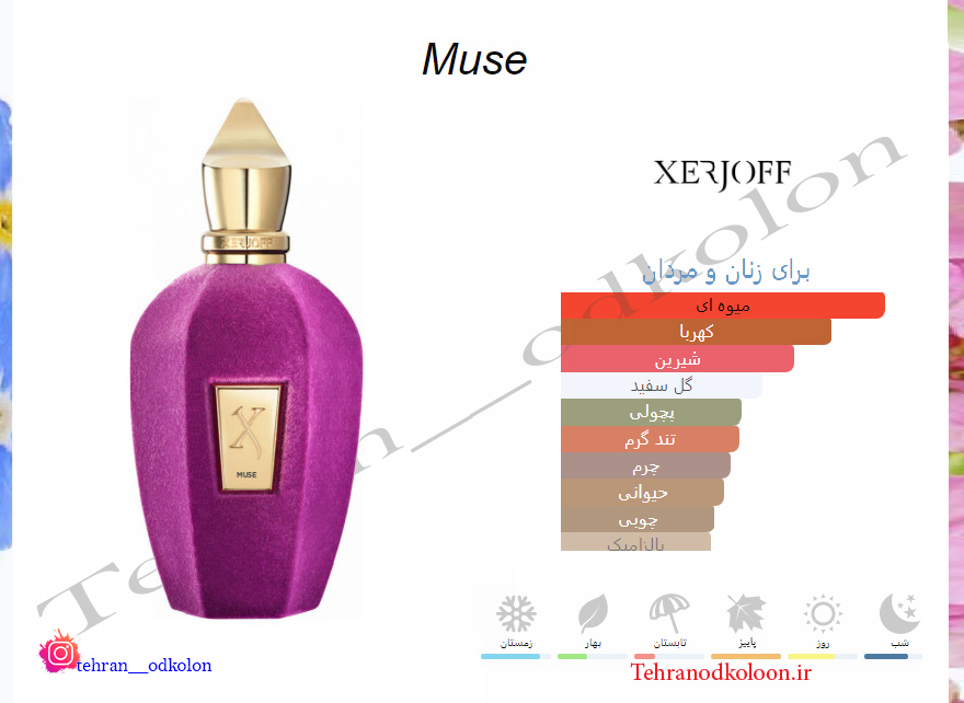  زرجوف میوز XERJOFF - Muse 