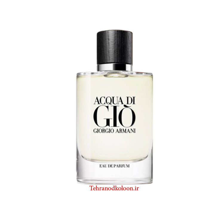  جورجیو آرمانی اکوا دی جیو ادو پرفیوم giorgio-armani-acqua-di-gi-eau-de-parfum 