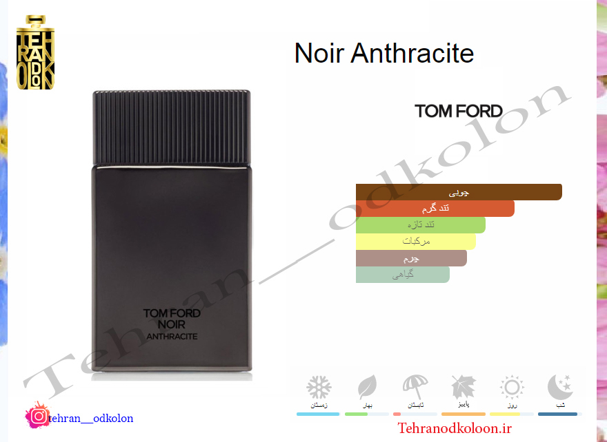  تام فورد نویر آنترسایت TOM FORD - Noir Anthracite 