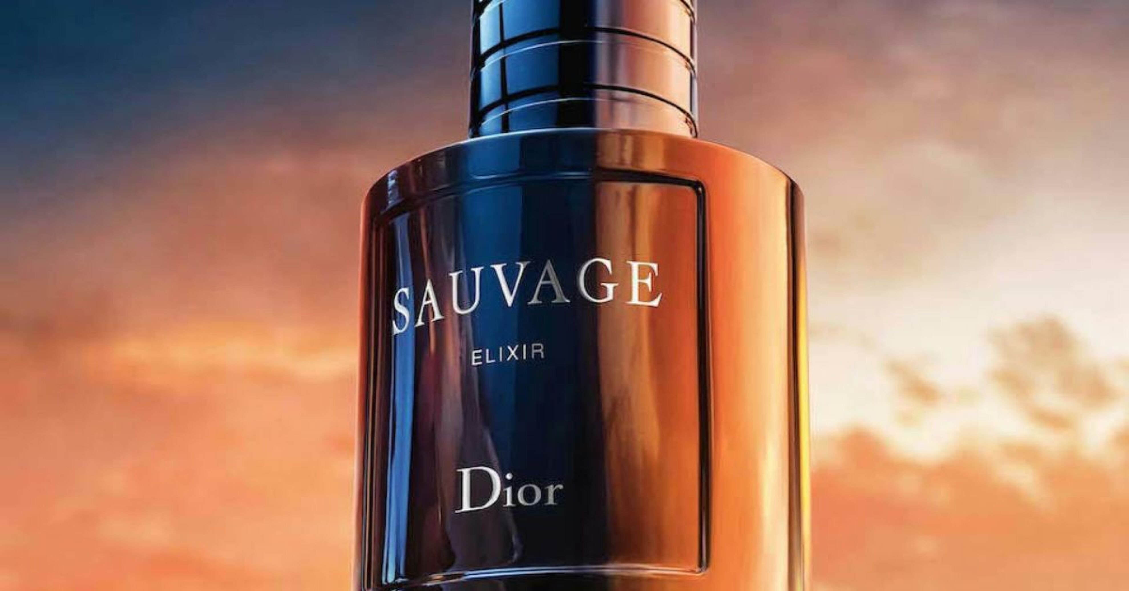  خرید عطر ساواج الکسیر dior-elixir 