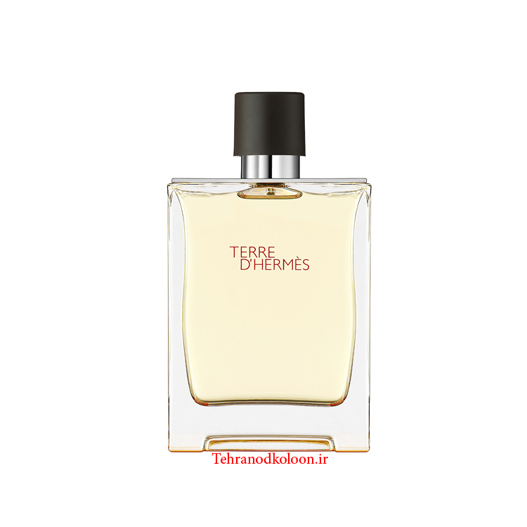  تق هرمس HERMES - Terre d'Hermes 