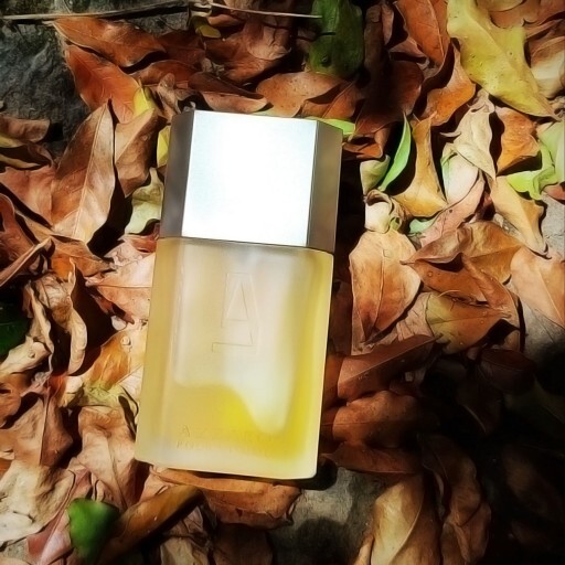  آزارو پور هوم لئو azzaro-pour-homme-l-eau 