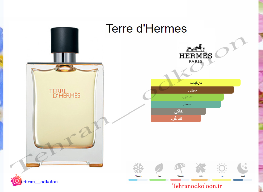  تق هرمس HERMES - Terre d'Hermes 