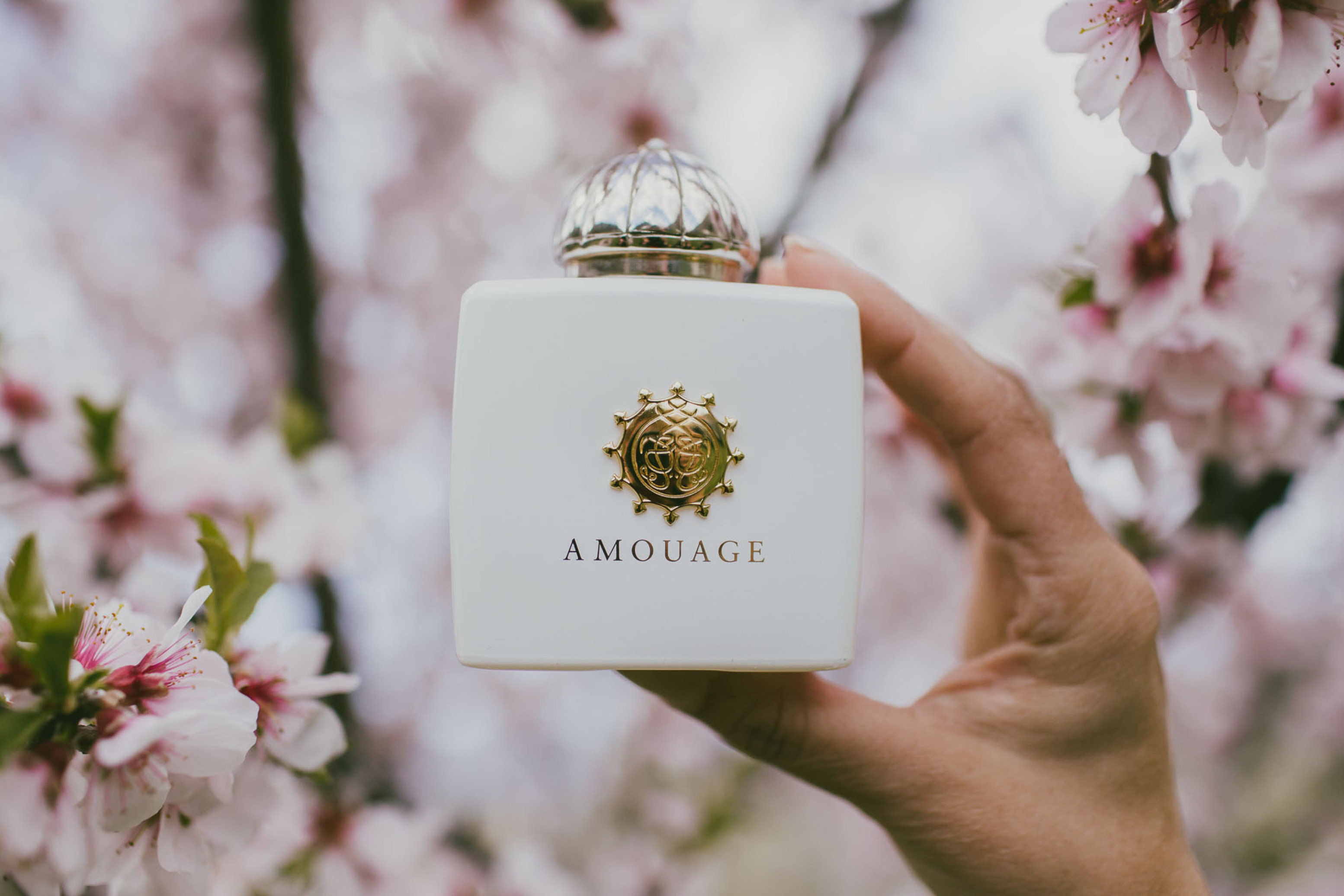  آمواج هانر زنانه AMOUAGE - Honour for Women 