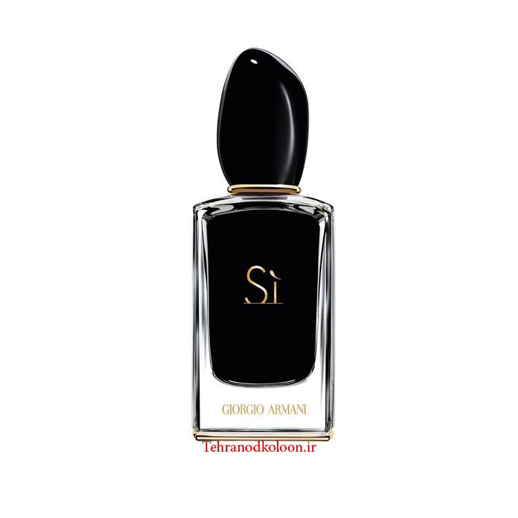  Giorgio Armani Si Intense 