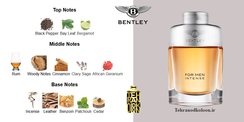  بنتلی اینتنس Bentley - Intense 