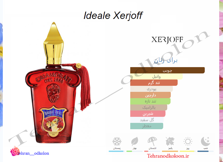  زرجوف بوکت آیدیل XERJOFF - Bouquet Ideale 