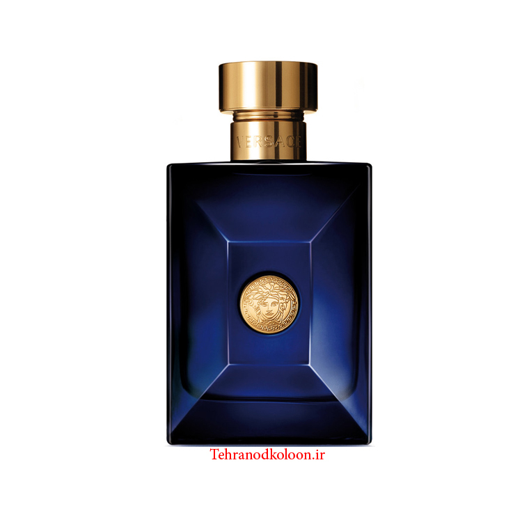  ورساچه پورهوم دیلن بلو VERSACE - Pour Homme Dylan Blue 