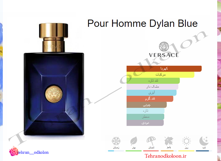  ورساچه پورهوم دیلن بلو VERSACE - Pour Homme Dylan Blue 