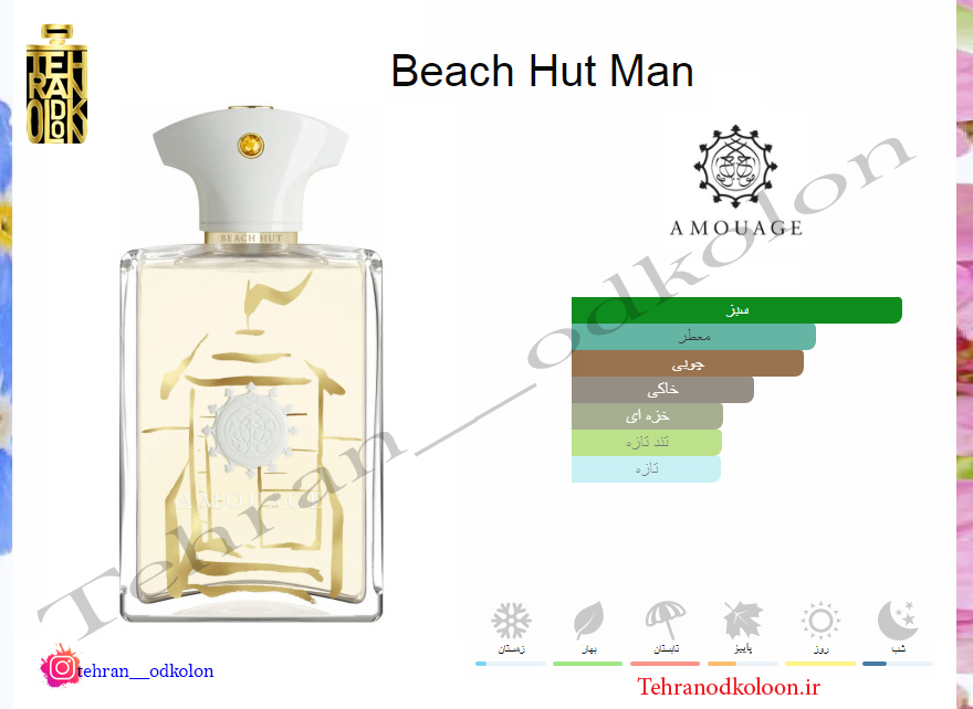  آمواج بیچ هات AMOUAGE - Beach Hut Man 