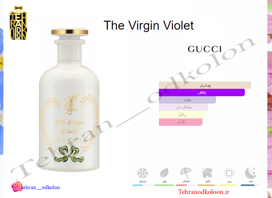  گوچی د ویرجین GUCCI - The Virgin Violet 