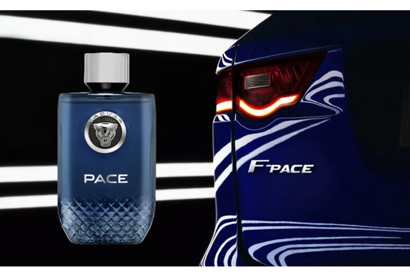  Jaguar - Pace 