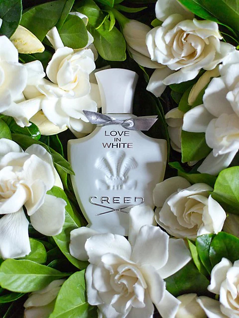  کرید - لاو این وایت creed-love-in-white 